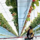 이규태농장 이미지