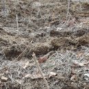 서화농장 이미지