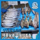 오늘의생선상동