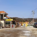 가평 애견카페 : 강아지랑 같이 넓은 운동장에서 뛰어놀 수 있는 까끼토끼놀이터 방문 후기