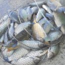 삼방낚시터 이미지