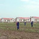 안정식농장 이미지