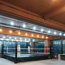 삼성복싱클럽 이미지