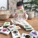 신세계경매장 | 이유식큐브 바맘 야채큐브 토핑, 밥솥이유식 강추
