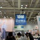 다은동물병원 | [부산 벡스코] 펫쇼 후기