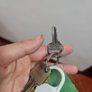 일소뇨 | 모알보알 숙소 추천 일소뇨 리조트 솔직후기 바다앞 스노쿨링 가능