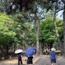 (주)엠에스양산상휴게소 | 경주가족여행 늦여름 대릉원 첨성대 천마총 임산부 산책코스추천(feat.양산 모자필수)