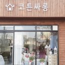 코튼싸롱