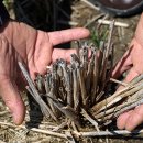 삼호 태양광발전소 이미지