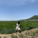 (광주) 5월 6일 - 5월 17일