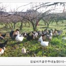 은주농장 이미지