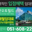 프리미엄 중고차 백화점 부산오토필드 이미지