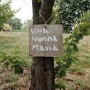 논나마리아(Nonna Maria) 이미지