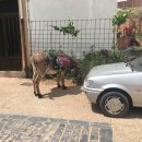 당나귀호스텔 이미지