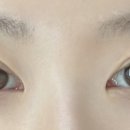 와니속눈썹 이미지