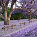 이레가든 이미지