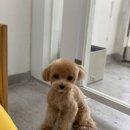 라미살롱 이미지