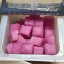 멕시카나신흥역점