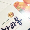 제주한라봉 선물용 추천 아빠는농부다 승환이네 농장