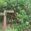 마래산 둘레길 이미지