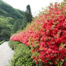 전북산림환경연구소(산림청) Daum카페