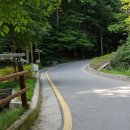 비래사약수터 이미지