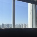 서경타워(서울제일병원) | 밝은눈안과잠실롯데타워 스마일라식 내돈내산 후기(+3주 회복)