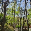 운수천계곡(1) | 부산 숲체험 백양산 웰빙숲 5월 중순까지 가지 마세요