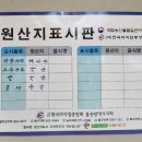 뉴욕바닷가재안