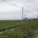 창제보건진료소 이미지