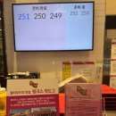 도그앤 도그 | [판교 현백] 핑크스 핫도그 솔직 후기 (미스터 LA도그, 하프앤하프, 탄산)