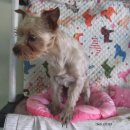 영포자동차정비 이미지