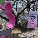 잇길 | 2025년 광주 서구 제4회 오잇길 걷기대회 완보 후기