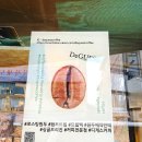 디게스커피(DeGUESScoffea)