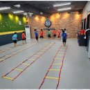 올바른 성장 태권도 이미지