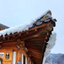 이천산수유마을 이미지