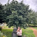 원앙목장 이미지