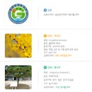 인천경명초등학교 이미지