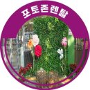 제17회 중랑 서울 장미 축제 장소에 포토존렌탈 후기