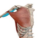 자이언트 짐 이미지