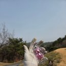 명문김밥 | 명문골프장 블랙스톤CC 이천 GC 재방문 봄시즌스타트 그늘집 곤드레토장국 멸치국수 버디도 했다