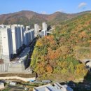 리인스테이 이미지