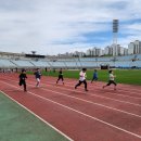 천안신용초등학교 이미지