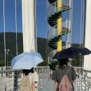 자라섬 주차장 이미지