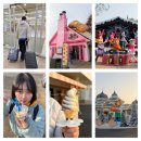 세계로렌트카(안산영업소) | 부산에서 서울여행 2박3일 코스, 첫 날은 1월 에버랜드 뽕뽑기