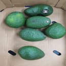 주식회사 에이플러스 이미지