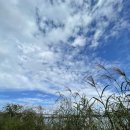 한강공일오비(015B) 이미지