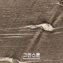 시그너스(Cygnus) 이미지