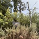 라벨뷰 | 강화도 감성숙소, 라벨뷰