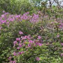 대장동경로당 이미지